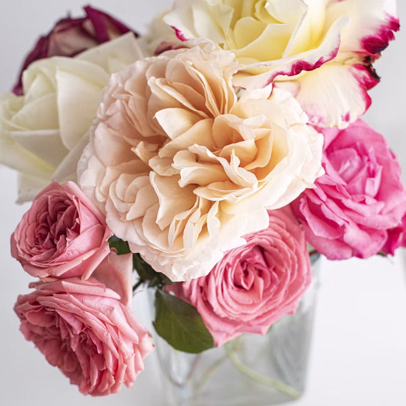 Blush White Roses Vase Set — image 1 of 4